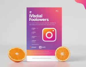 Buy Instagram Followers 2600 v2